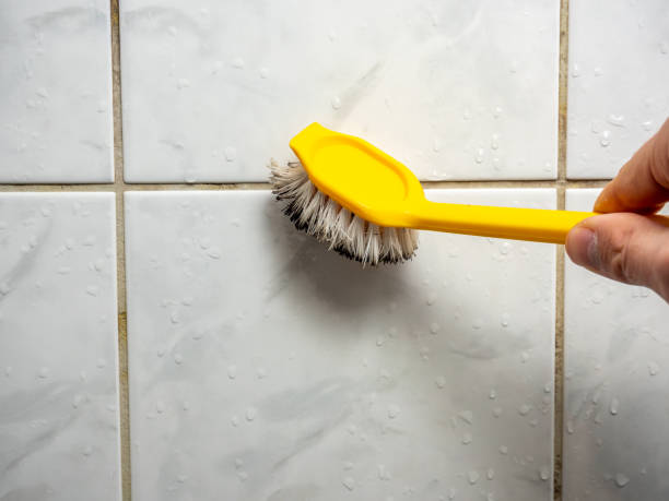 Best Commercial Mold Removal  in Ridgecrest, CA