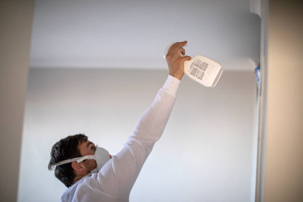 Best Toxic Mold Removal  in Ridgecrest, CA