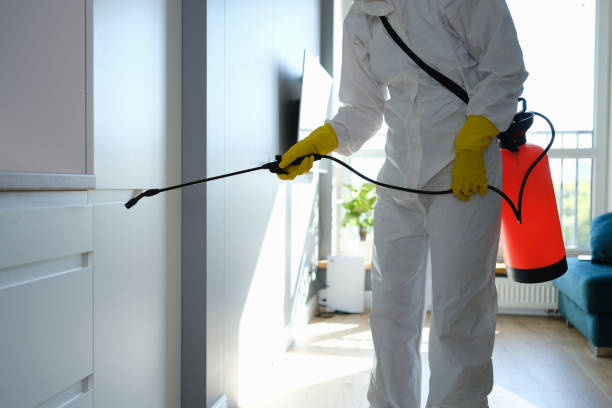 Best Mold Removal Near Me  in Ridgecrest, CA