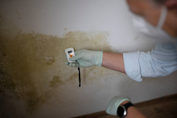 Water Damage Restoration in Ridgecrest, CA