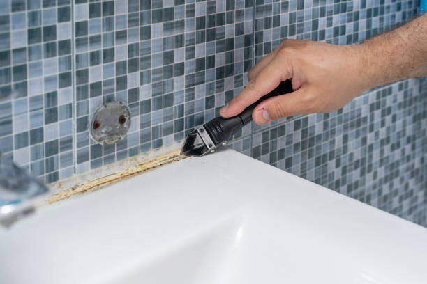 Reliable Ridgecrest, CA Mold Removal Solutions